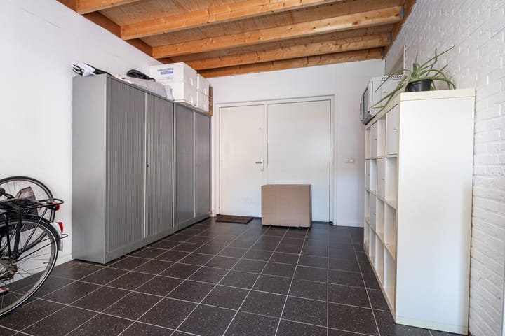 Photo 7 of Scholekster 7