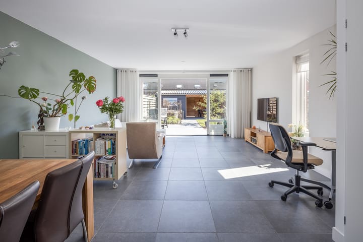 Photo 8 of Scholekster 7