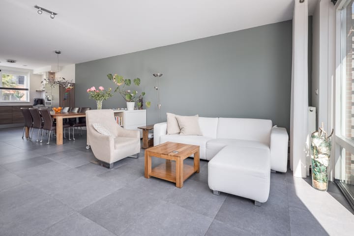 Photo 10 of Scholekster 7