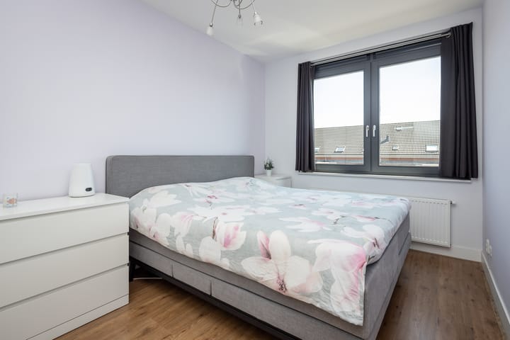 Photo 15 of Scholekster 7