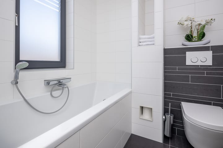 Photo 20 of Scholekster 7