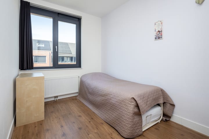 Photo 21 of Scholekster 7