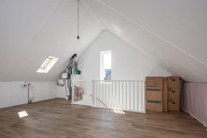 Photo 24 of Scholekster 7