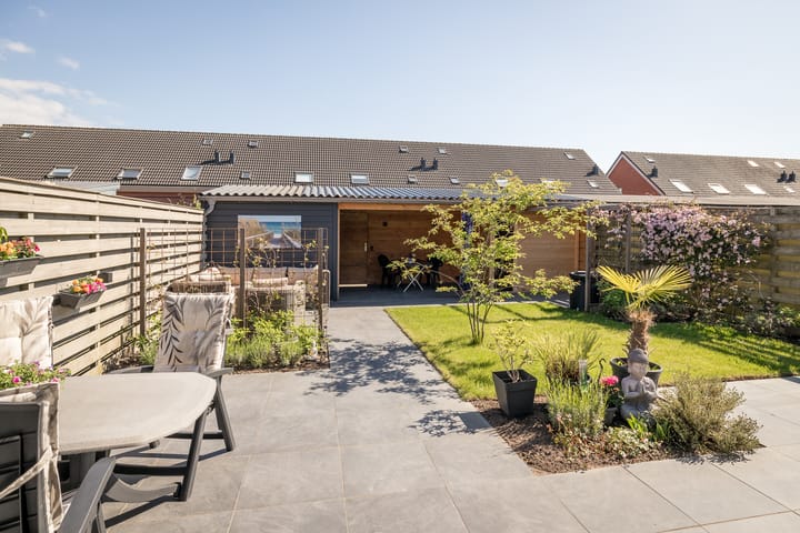 Photo 25 of Scholekster 7