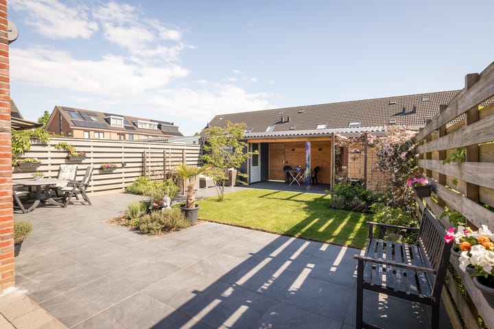 Photo 26 of Scholekster 7