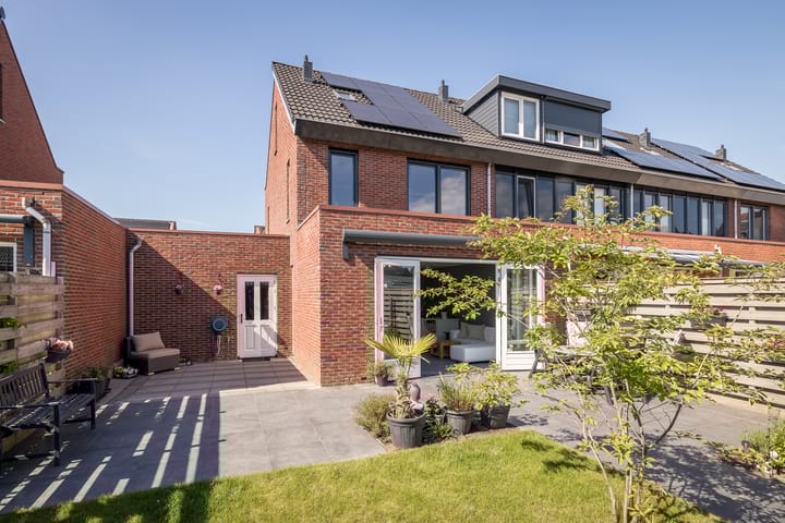 Photo 31 of Scholekster 7