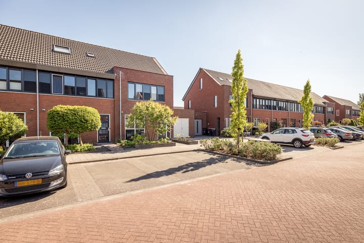 Photo 34 of Scholekster 7