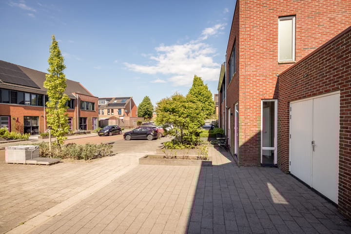 Photo 35 of Scholekster 7