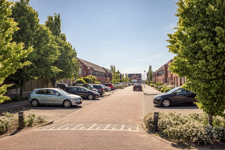 Photo 36 of Scholekster 7