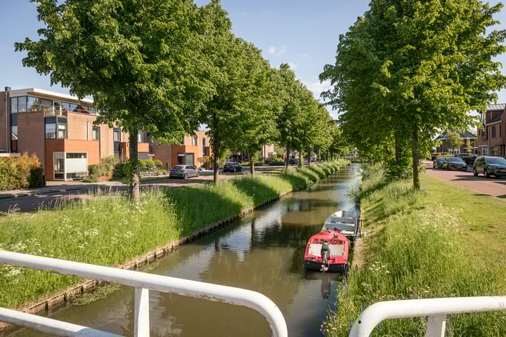 Photo 37 of Scholekster 7