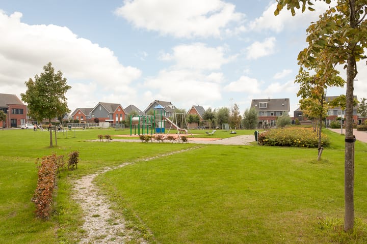 Photo 39 of Scholekster 7