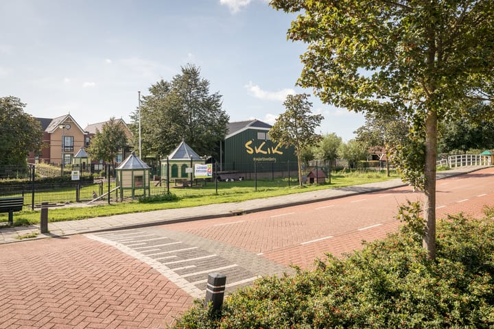 Photo 40 of Scholekster 7