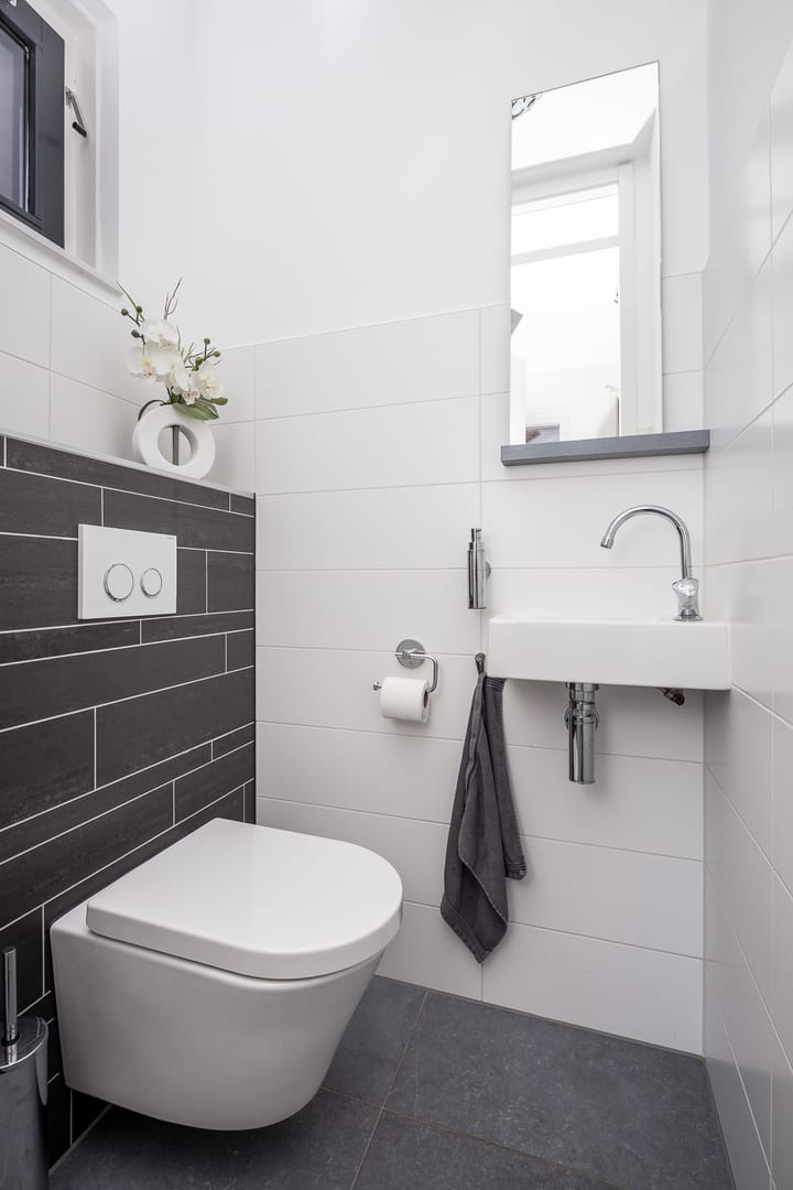 Photo 45 of Scholekster 7