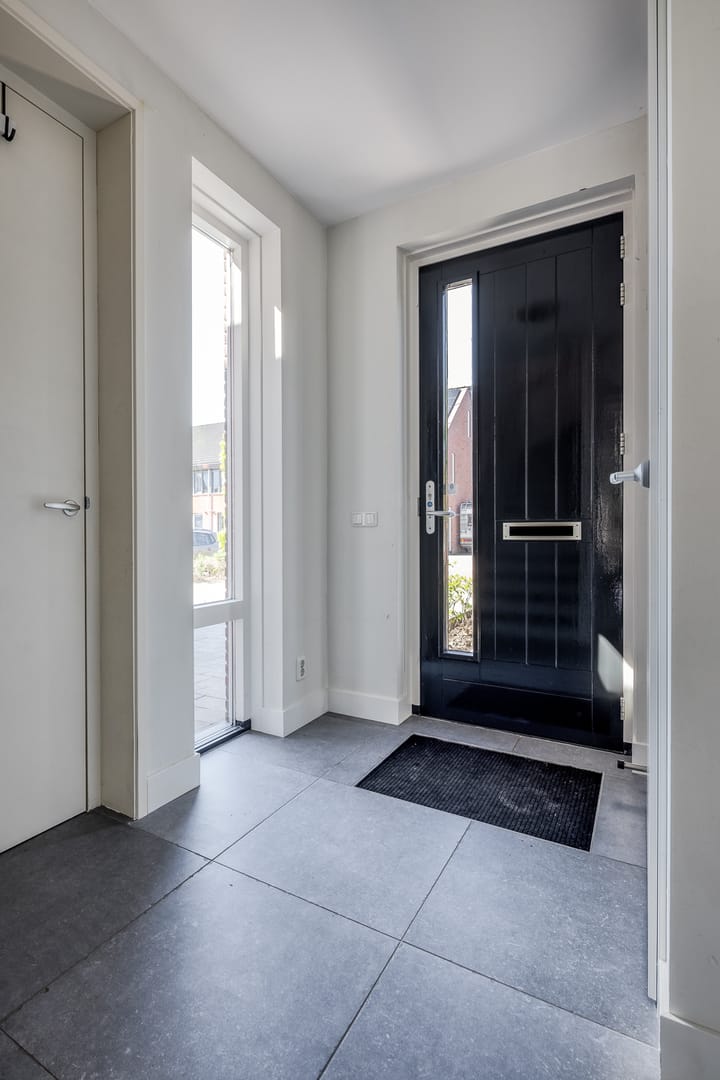 Photo 46 of Scholekster 7