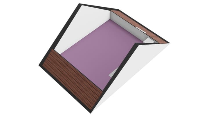 Photo 57 of Scholekster 7