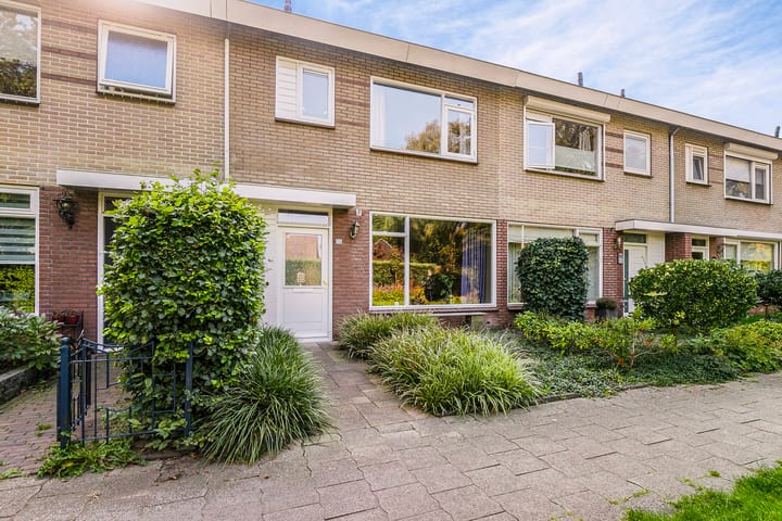 Foto 2 van Schapendrift 50