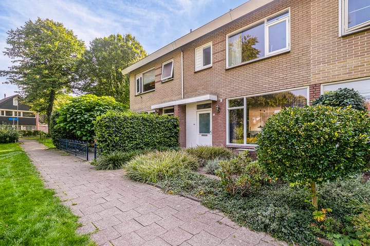 Foto 3 van Schapendrift 50