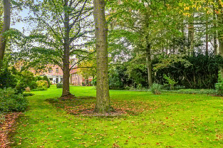 Foto 5 van Nieuwstraat 12