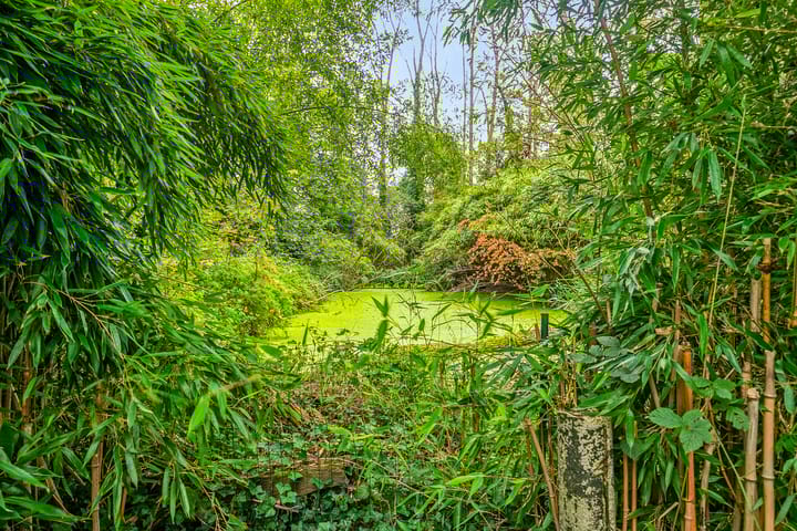 Foto 42 van Nieuwstraat 12