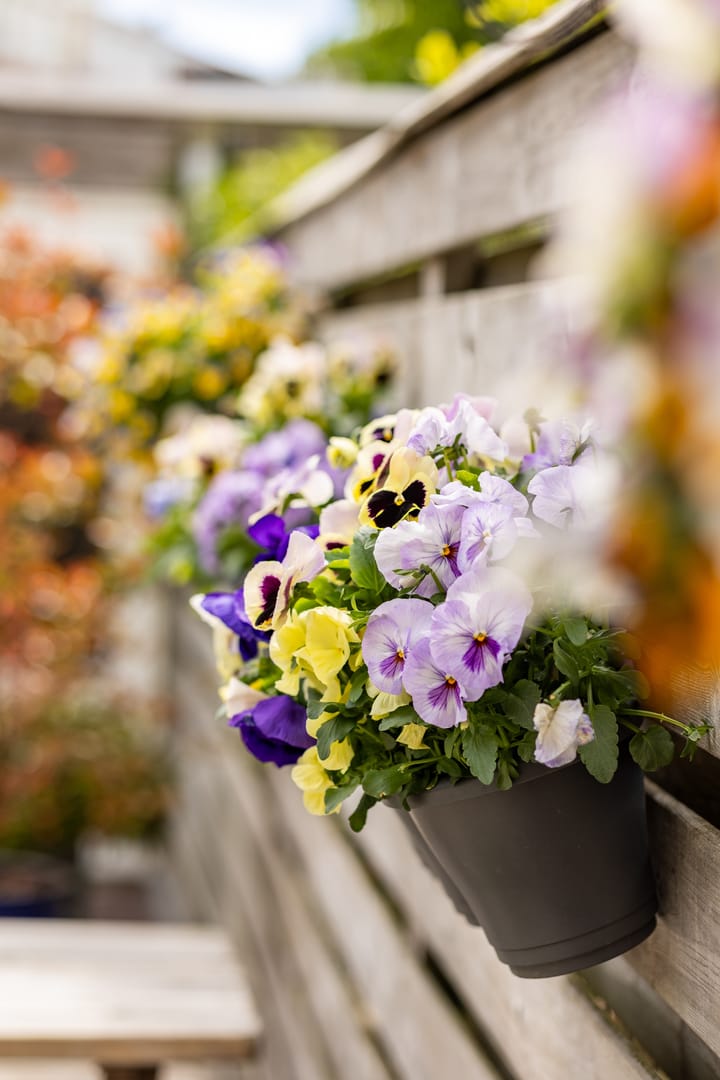 Foto 23 van Baardmosstraat 112