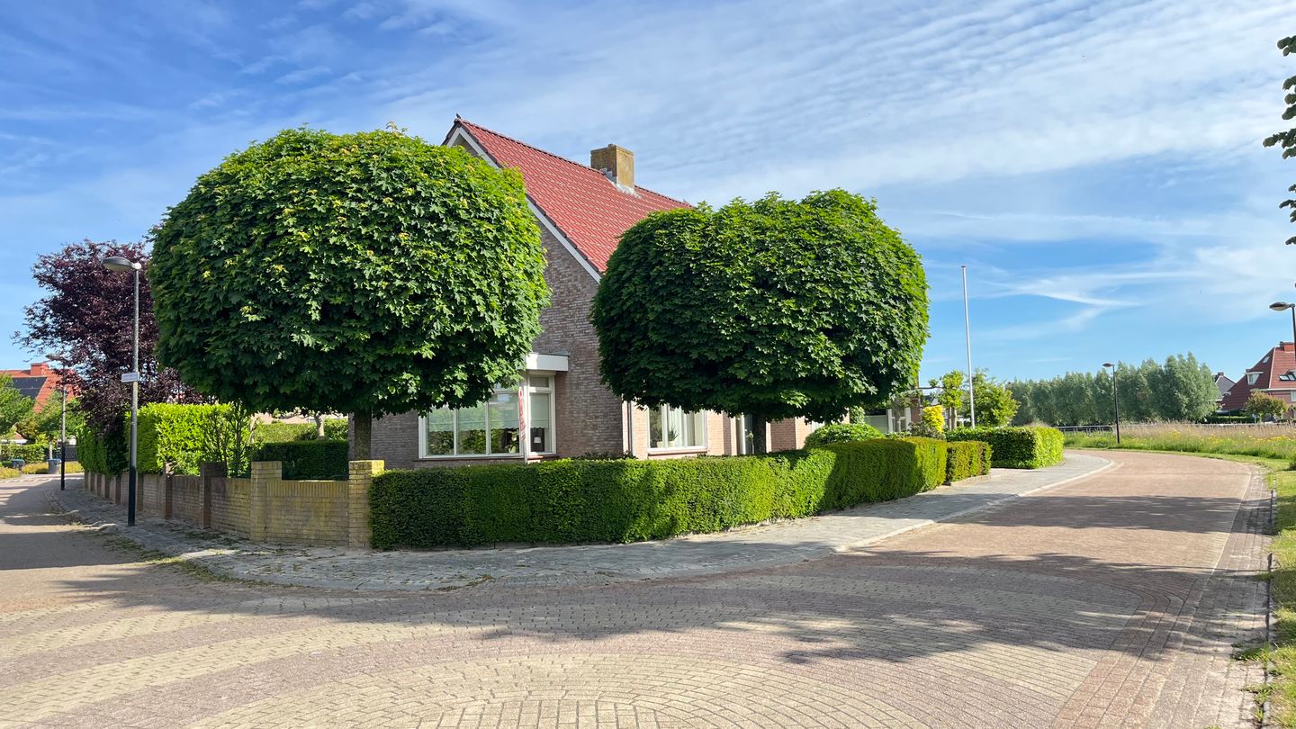 Photo 50 of Meander 34