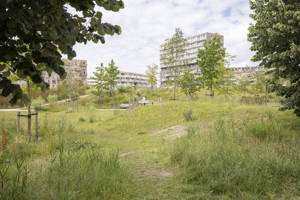 Foto 26 van Faas Wilkesstraat 113-A