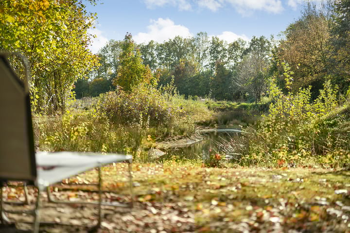 Foto 66 van Rijsdammerweg 8