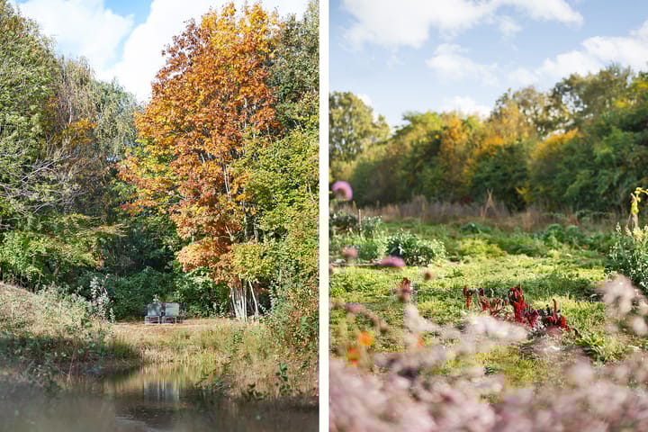 Foto 67 van Rijsdammerweg 8