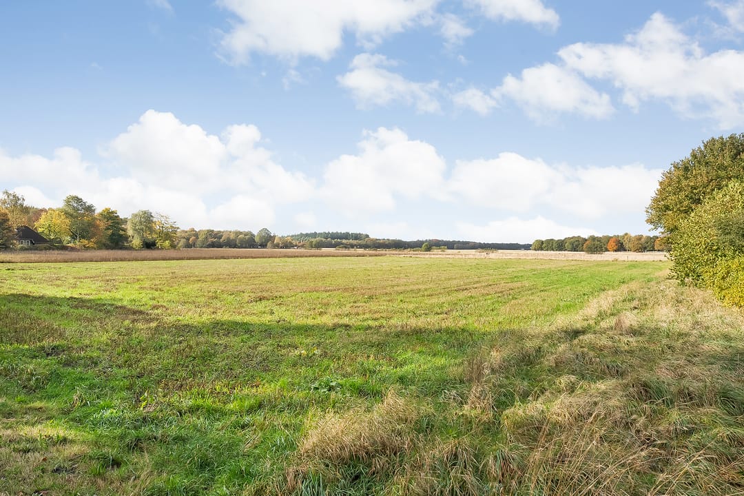 Photo 68 of Rijsdammerweg 8