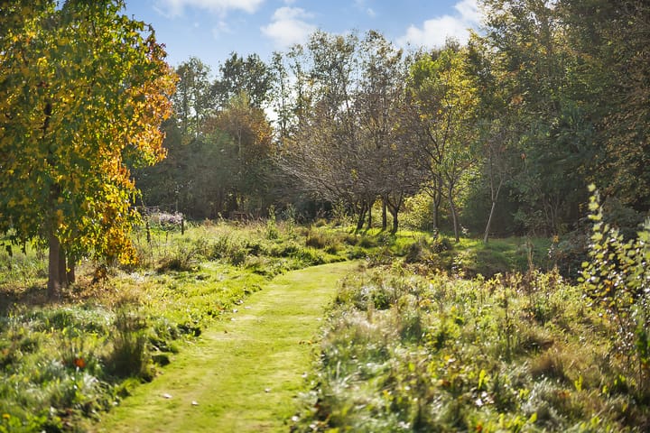 Foto 70 van Rijsdammerweg 8