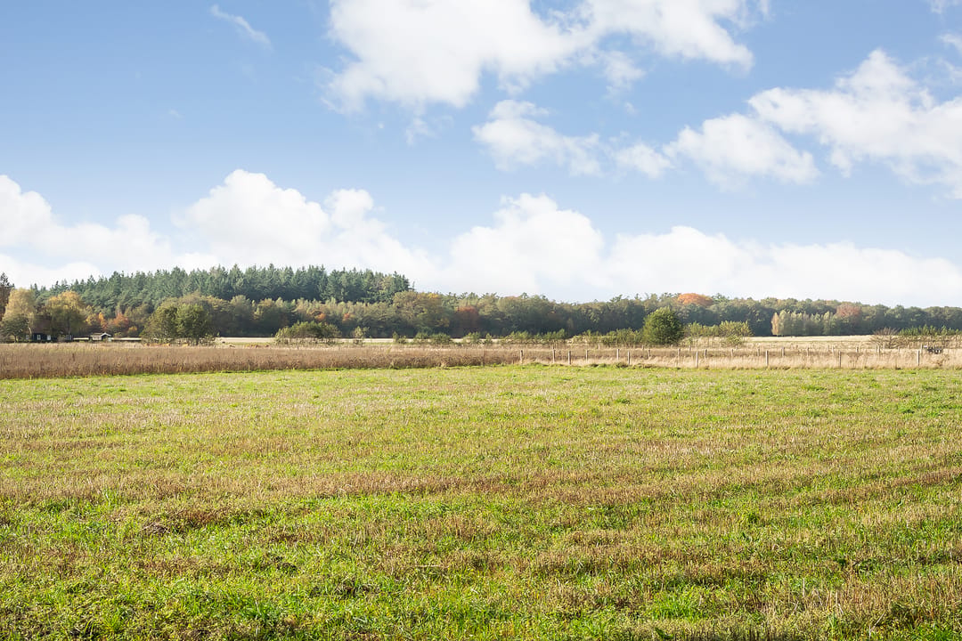Photo 71 of Rijsdammerweg 8