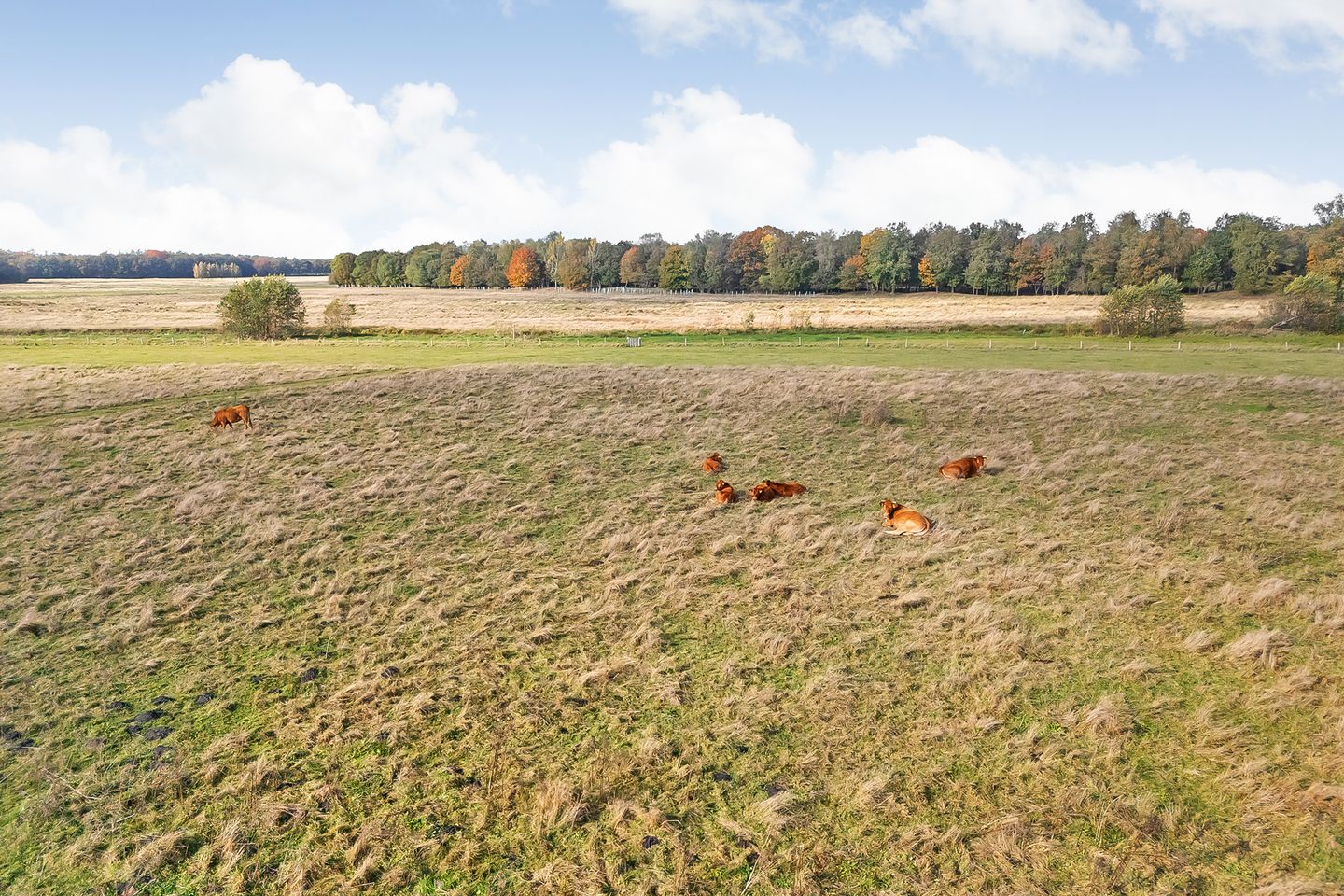 Photo 74 of Rijsdammerweg 8