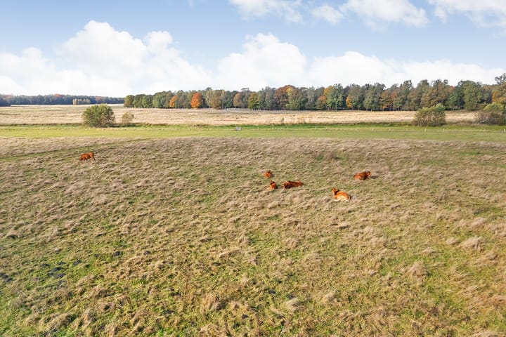 Foto 74 van Rijsdammerweg 8