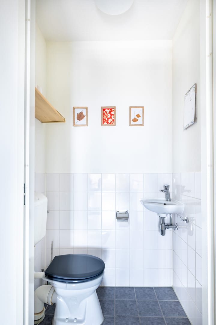 Foto 7 van Ter Lips 23