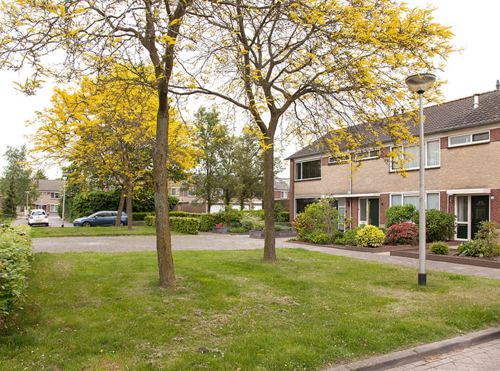 Foto 35 van Dunantstraat 14