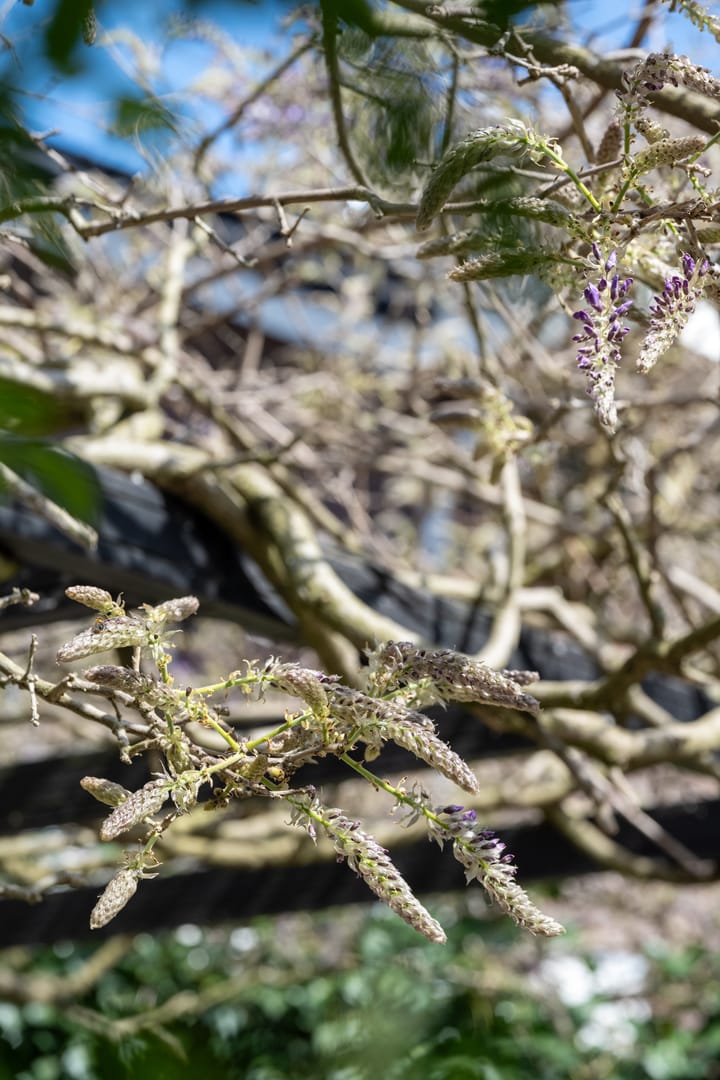 Foto 65 van Gerrit Rietveldstraat 44