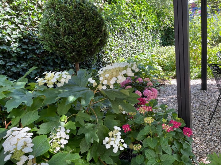 Foto 68 van Gerrit Rietveldstraat 44