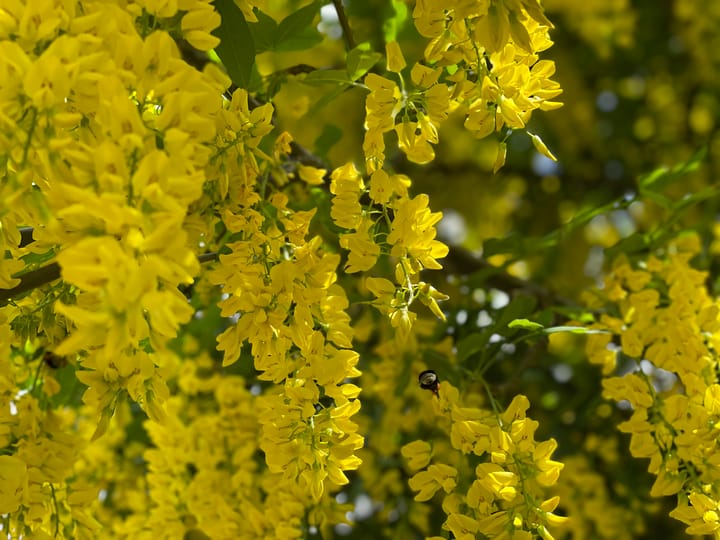 Foto 70 van Gerrit Rietveldstraat 44