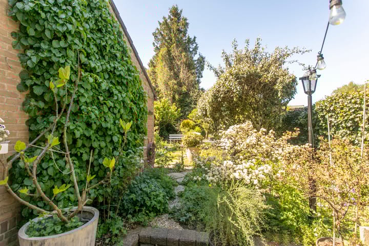 Foto 27 van Ferdinand Bollaan 13