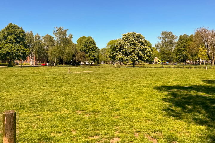 Foto 29 van Ferdinand Bollaan 13