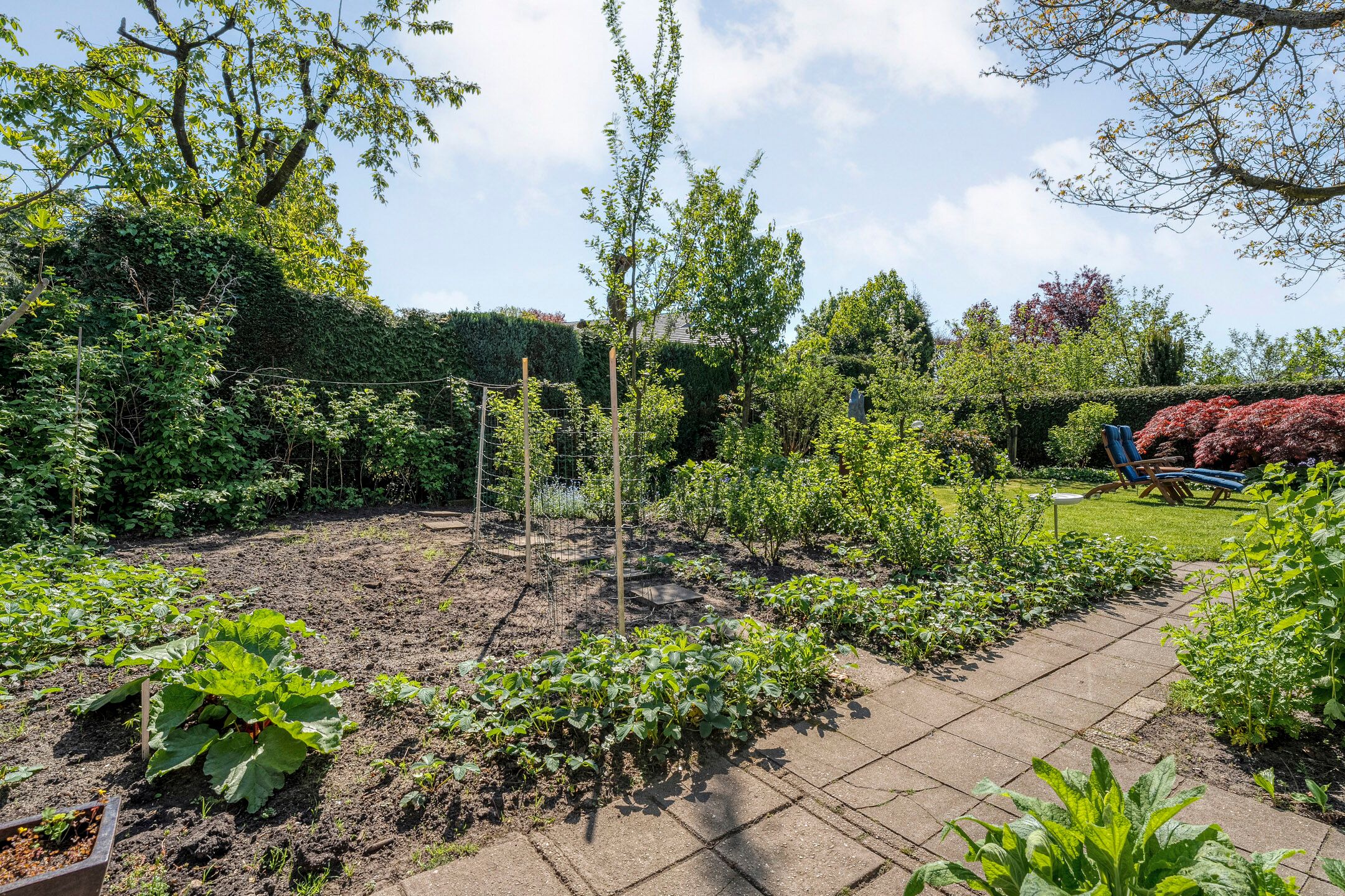 Foto 48 van Hofstedelaan 19