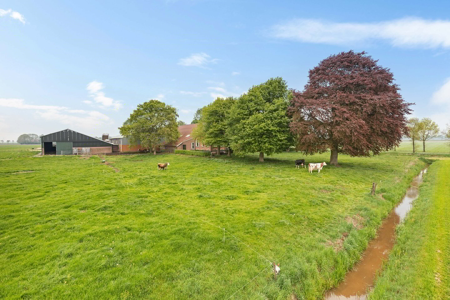 View photo 3 of Turfweg 1