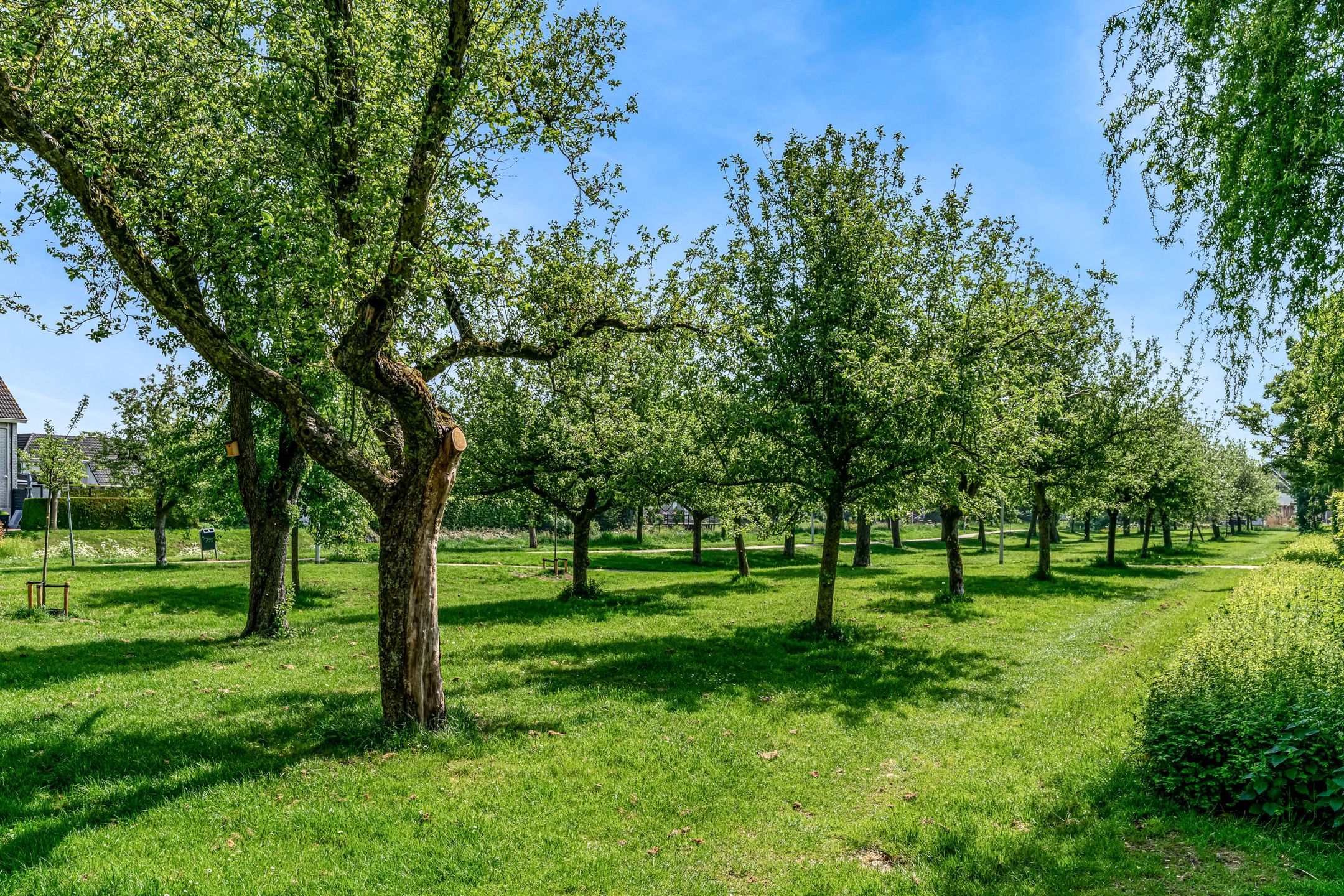 Foto 48 van Kamperfoeliestraat 44