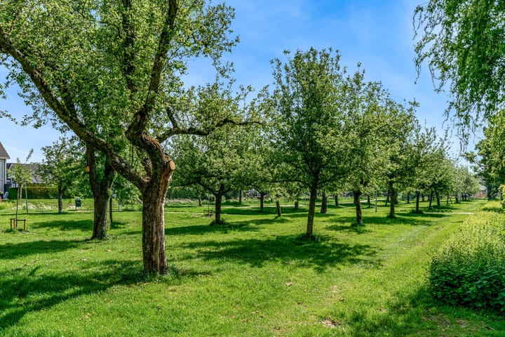 Foto 48 van Kamperfoeliestraat 44