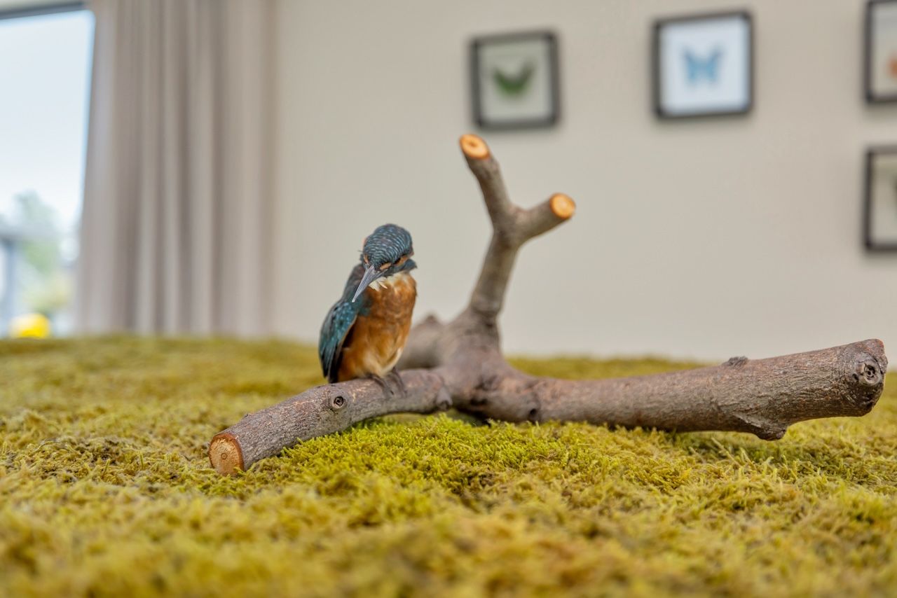 Foto 18 van Nigtevechtseweg 134-WS