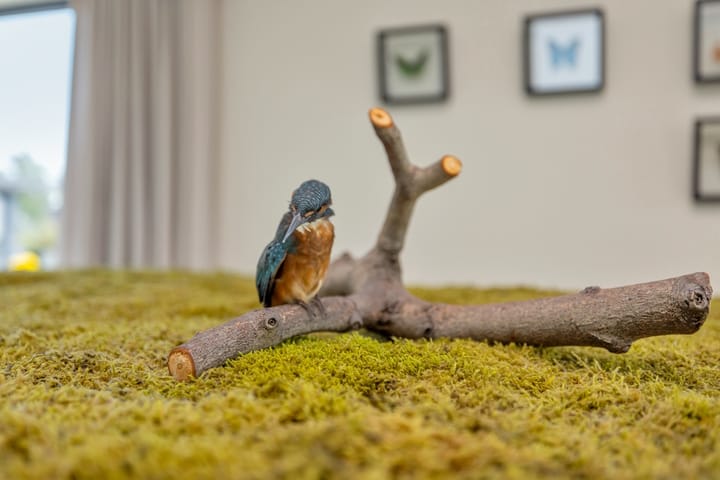 Photo 18 of Nigtevechtseweg 134-WS