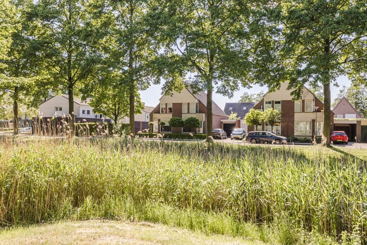 Foto 42 van Haagwinde 2