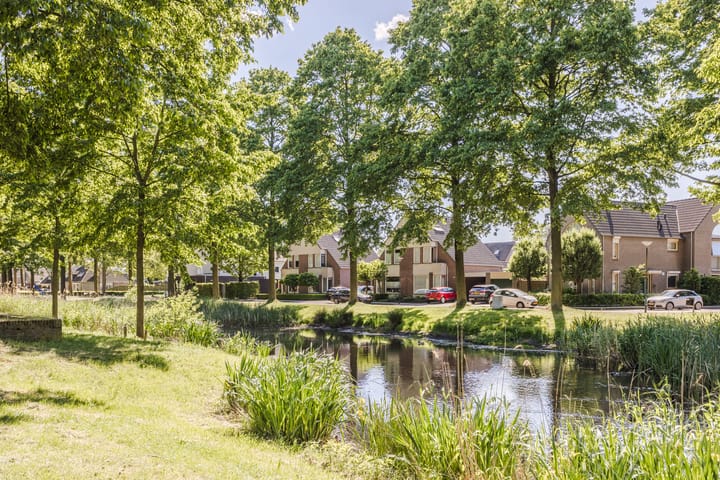 Foto 41 van Haagwinde 2