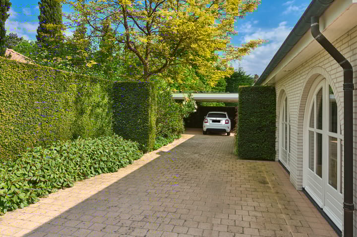 Foto 4 van El Pinar 13