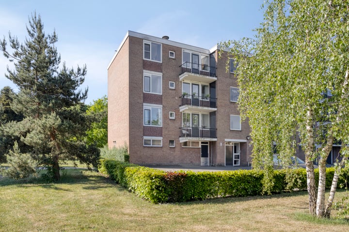 Wilgenstraat 43